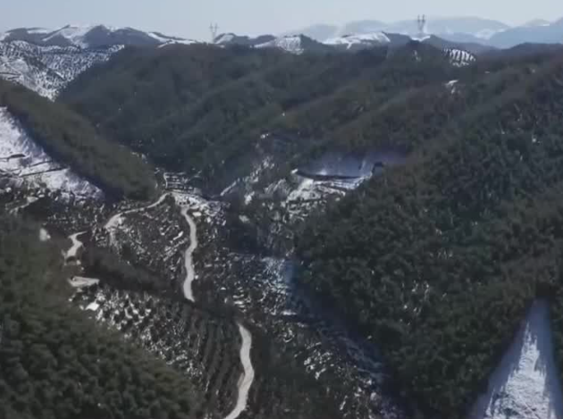 国务院办公厅关于印发  《自然灾害调查评估暂行办法》的通知  国办发〔2025〕28号