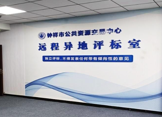 国家发展改革委办公厅关于 加快推广远程异地评标的通知   发改办法规〔2025〕807号