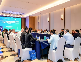 2025住房城乡建设领域科技标准国际交流周圆满落幕
