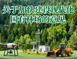 关于加快建设现代化国有林场的意见