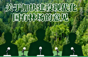 国家发展改革委新闻发言人就《关于加快建设现代化国有林场的意见》答记者问