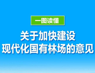 一图读懂 | 关于加快建设现代化国有林场的意见