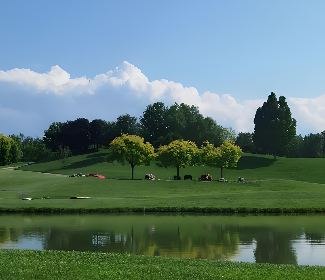 中国“调色盘”增新绿！森林覆盖率超25%