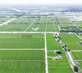 高标准农田建设高质量推进