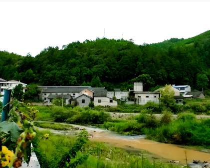 龙泉市：从“留下来”到“富起来”，探索传统村落“振兴密码