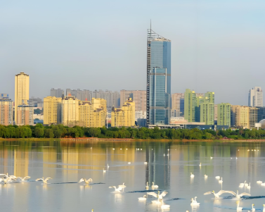 河南三门峡提升城市功能品质