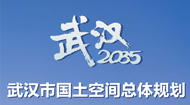 武汉市国土空间总体规划(2021-2035年)