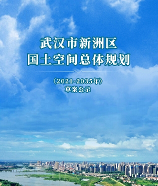 湖北省武汉市《武汉新洲区国土空间总体规划（2021-2035年）》