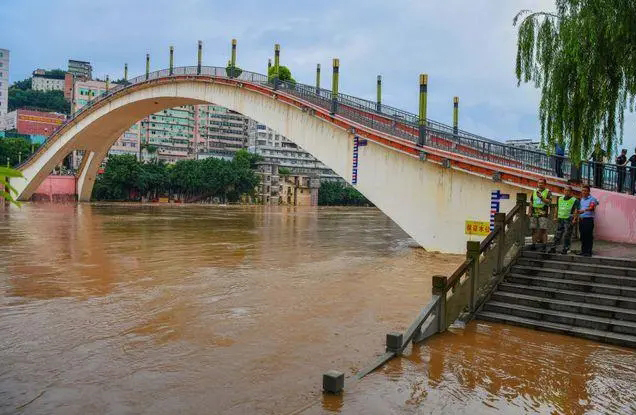 重庆市《中心城区排水防涝专项规划》