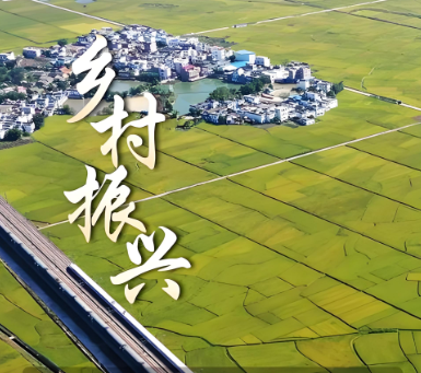 中共中央 国务院关于锚定农业农村现代化 扎实推进乡村全面振兴的意见